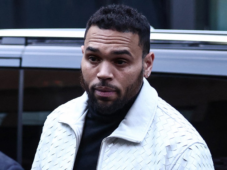Chris Brown 자택서 가정부 대형견에 공격당해... 9000만 달러 손해배상 소송 진행 중
