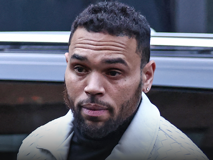 Chris Brown LA 자택 밖 총격 사건, 용의자 현장 체포