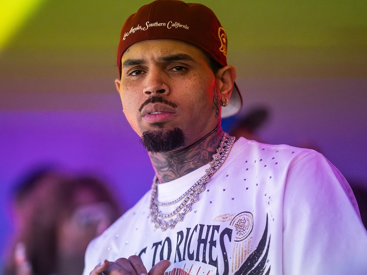 Chris Brown, 전 가정부 개 공격 사건으로 1,300만 달러 배상 판결