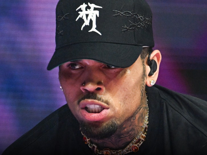 전 가정부, Chris Brown과 Usher 투어 수익까지 노리고 법적 소송 확대