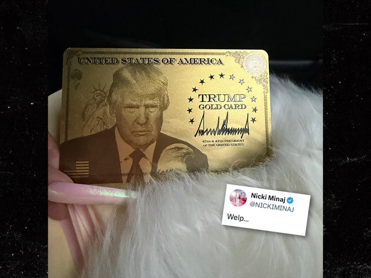 니키 미나즈, 워싱턴 D.C. '멜라니아' 영화 시사회 참석