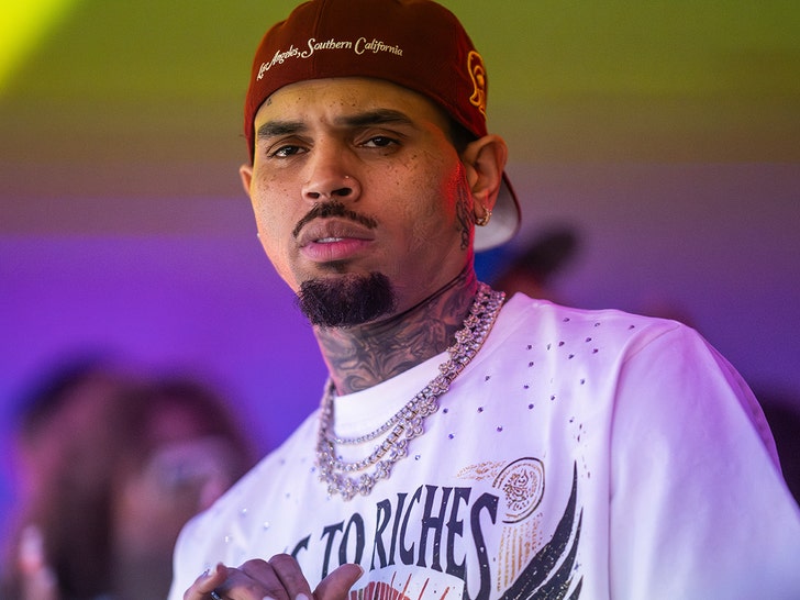 Chris Brown, 전 하우스키퍼의 반려견 공격 부상 사진 증거 채택에 반발