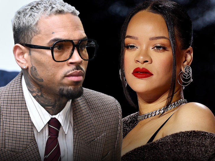 Chris Brown, 개 물림 소송에서 한숨 돌렸다... 과거 리한나 폭행 기록, 재판 증거로 채택 안 돼